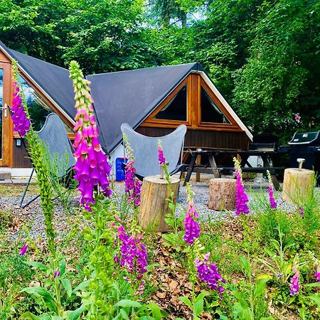 Chalet Tropical Avec Bain A Bulles - In The Woods Gesves Kültér fotó